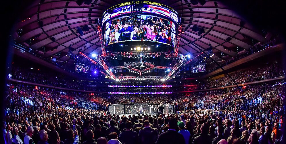 UFC Fight Night - October 31, 2026
