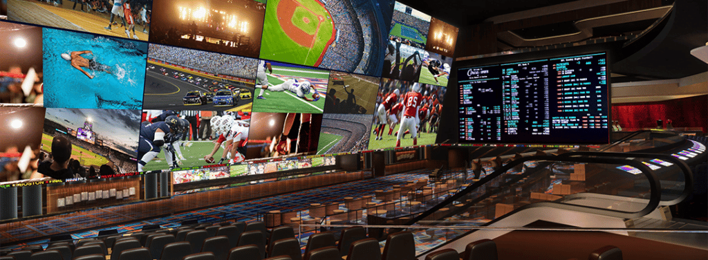 sports betting exchange
