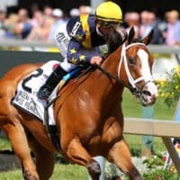 2026 Preakness Stakes Picks - May 16, 2026