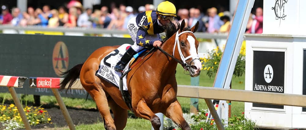 2026 Preakness Stakes Picks - May 16, 2026